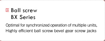 Ball screw BX series